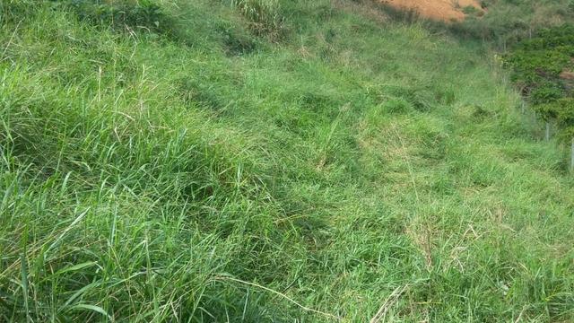 Sítio Próximo ao Trevo de Pacas X Colatina - Foto 17