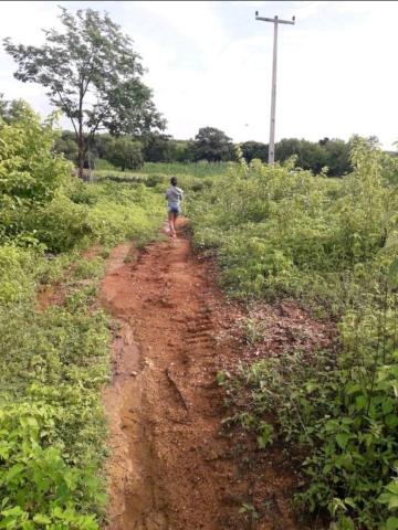Fazenda rural em forquilha - Foto 5