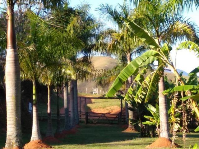 Linda Fazenda no Vale do Paraiba, porteira fechada - Cód 1505 - Foto 11
