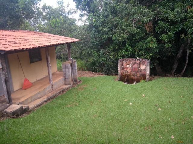 Fazenda 16,5 Alq - 50km de Goiânia - Hidrolândia - Entrada exclusiva - a 4 km da Rodovia - Foto 18