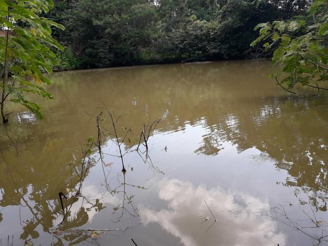 Chacara com opção para construção de depósitos, armazéns, garagens - Foto 4
