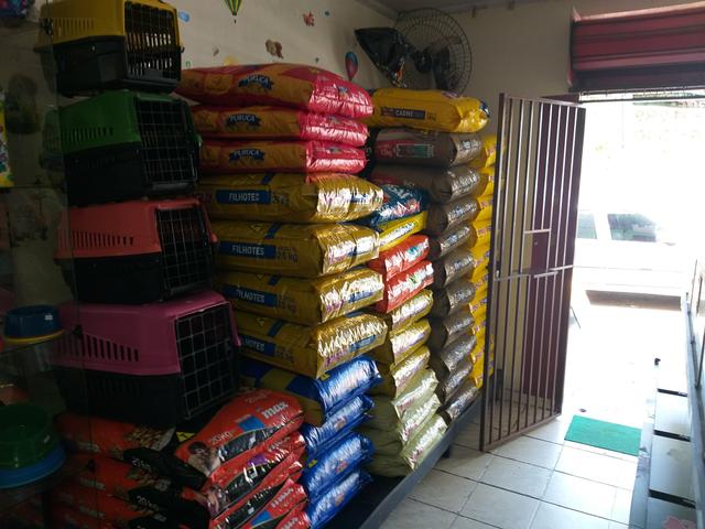 Pet Shop - Foto 5