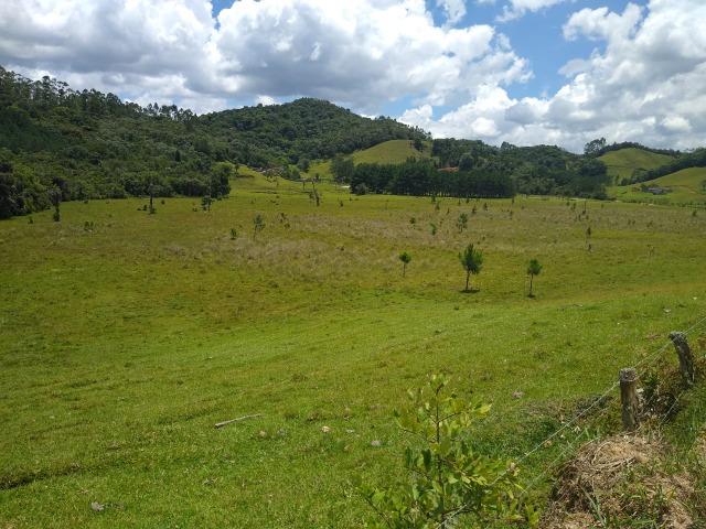 Arrendamento - Foto 2