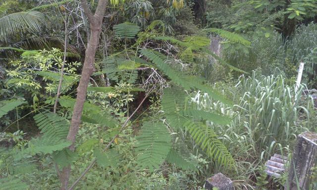 Vendo Terreno 12x30 em Itaboraí - aceito proposta - Foto 7