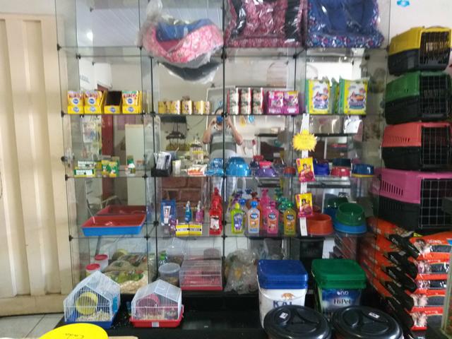 Pet Shop