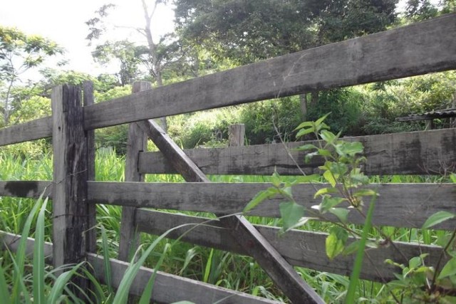 Fazendinha de 6.5 ha,perto do centro Jaboticatubas  - Foto 4