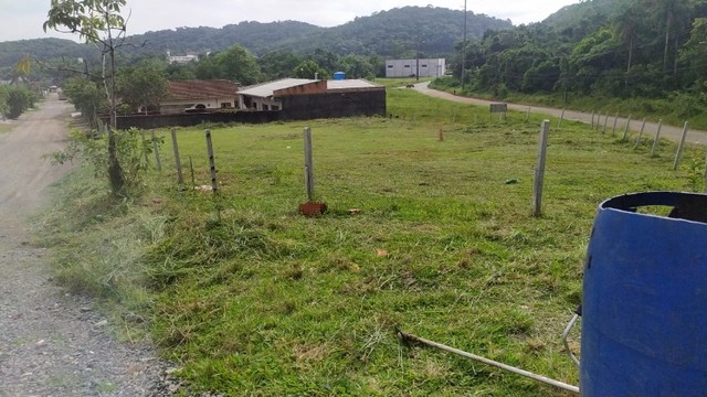 Lote