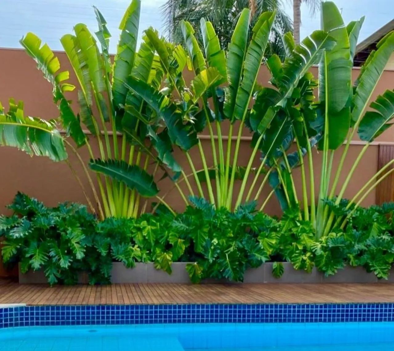 PAISAGISMO, JARDINAGEM EM GERAL - Foto 3