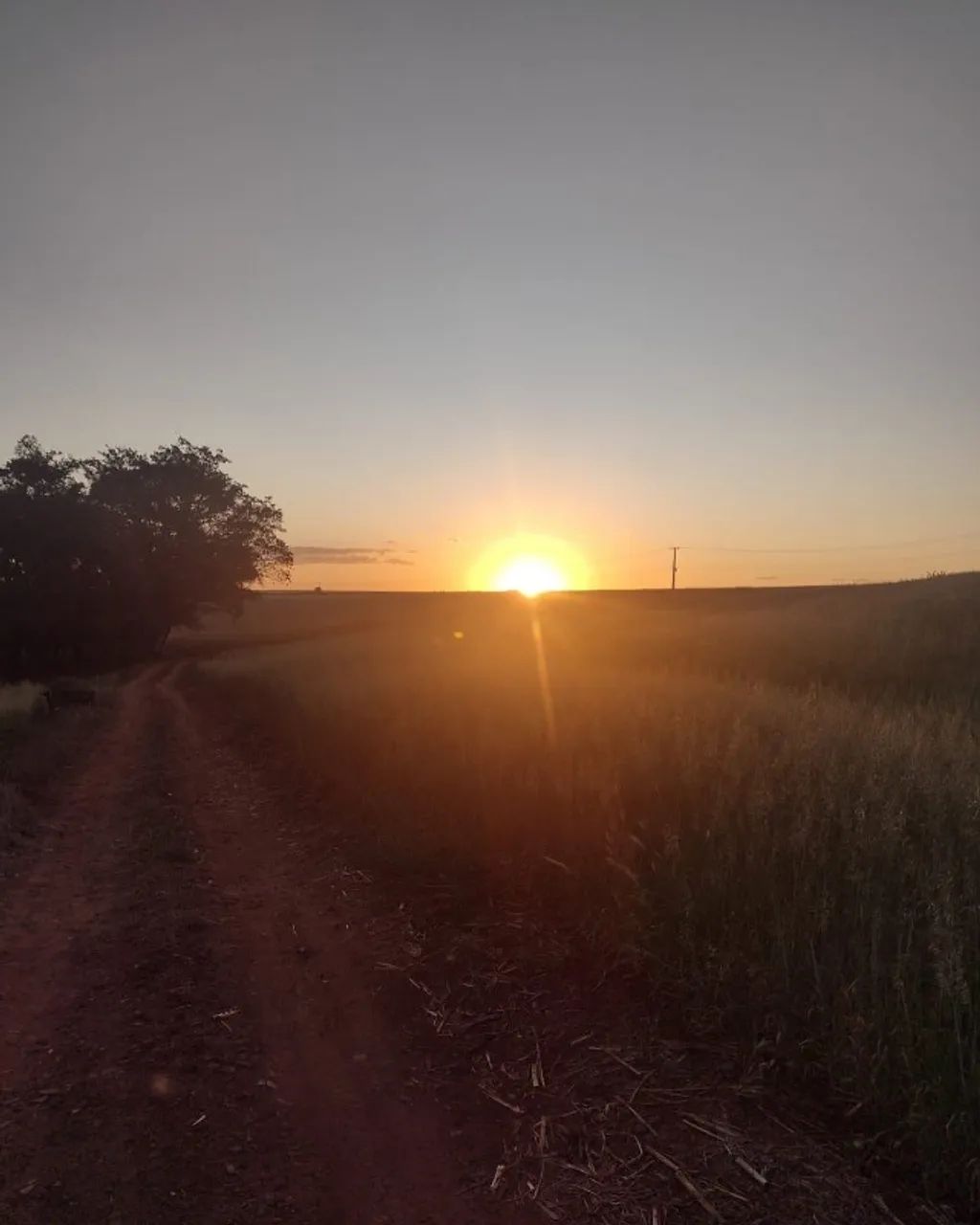 Chácara em Paiçandu  - Foto 5