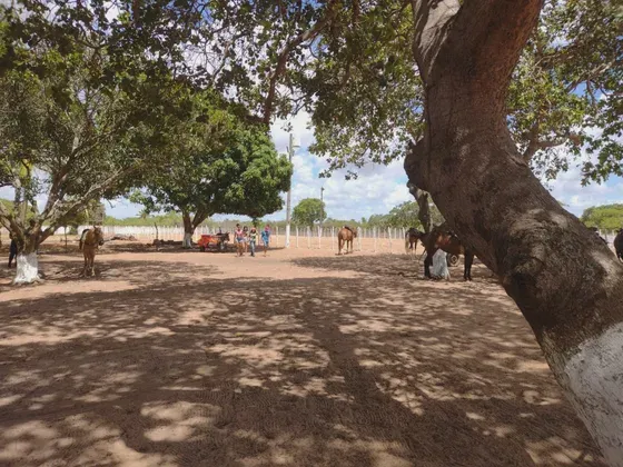 haras com 2.7 hectares na região de Macaíba bastante estruturada 100% murada