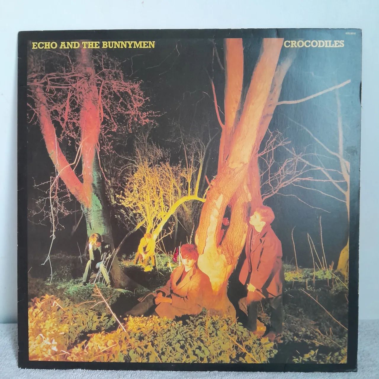 Vinil lp Echo & The Bunnymen - impecável 