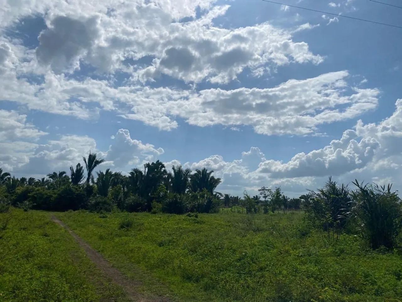 Terreno com área verde em local tranquilo