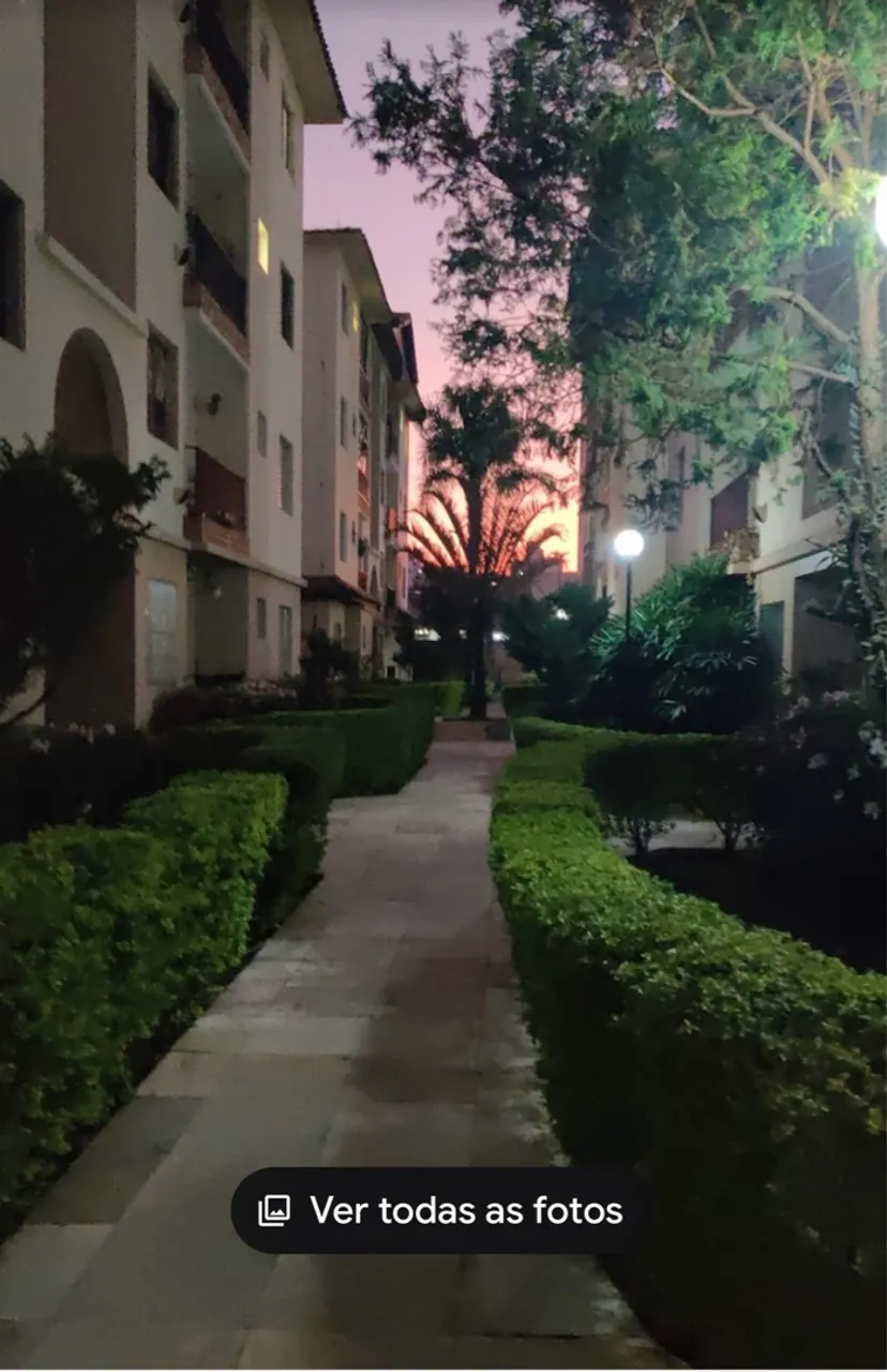 Apartamento Jardim das Palmas