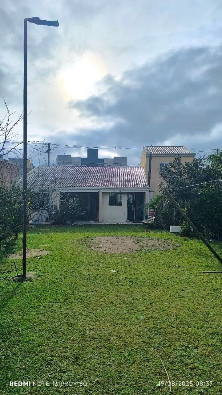 Foto - Araucária - Costeira