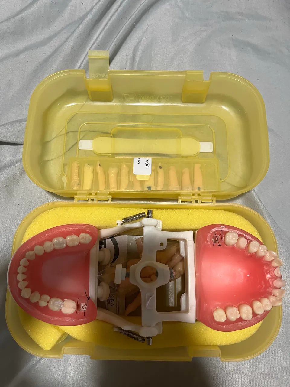Manequim odontológico  - Foto 2