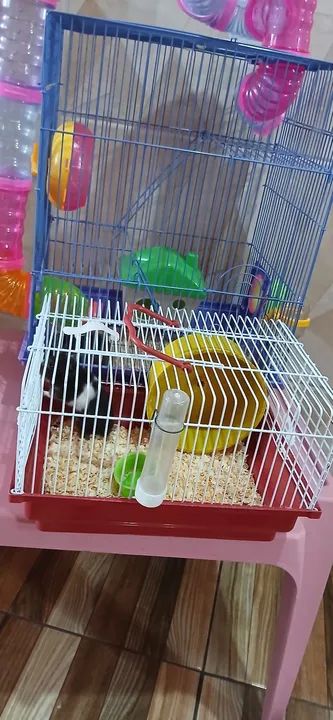 2 Gaiolas para 2 Hamsters com Acessórios