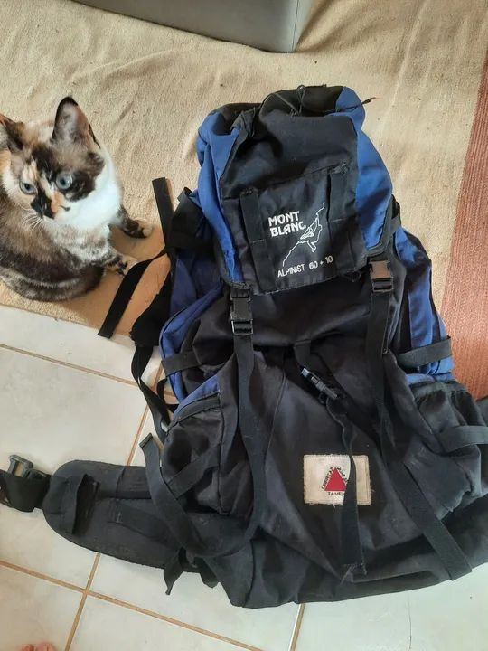 Mochila Mont Blanc Alpinst 60+10