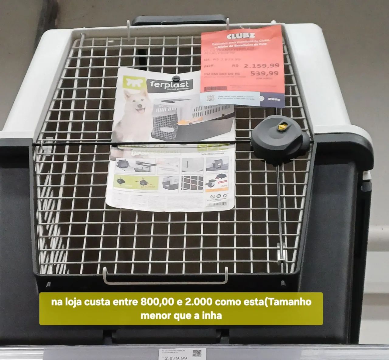 CASA TRANSPORTE CACHORRO - Foto 3