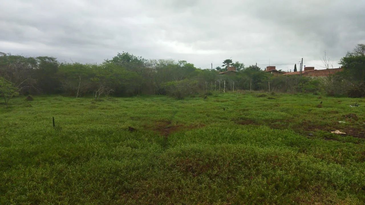 Terreno plano com área verde em ótima localização