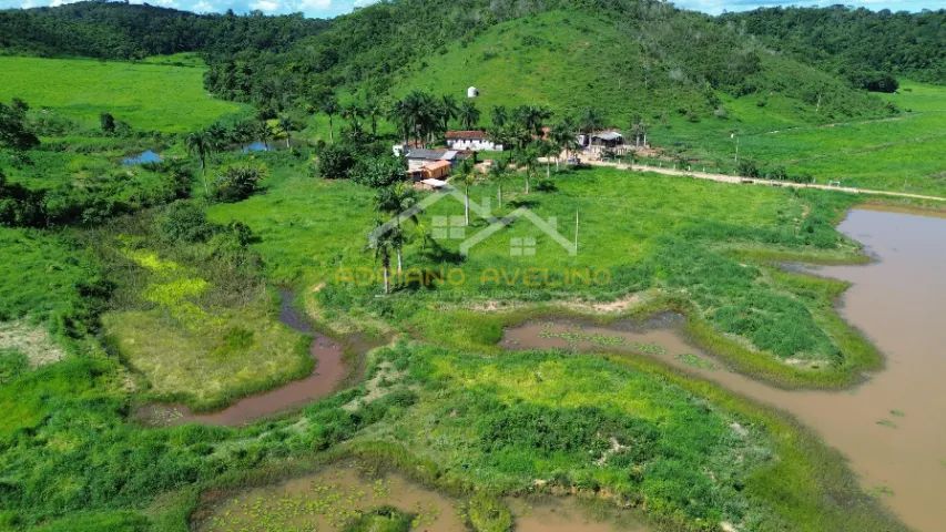 Fazenda 212,96ha - Malacacheta/MG - Foto 4