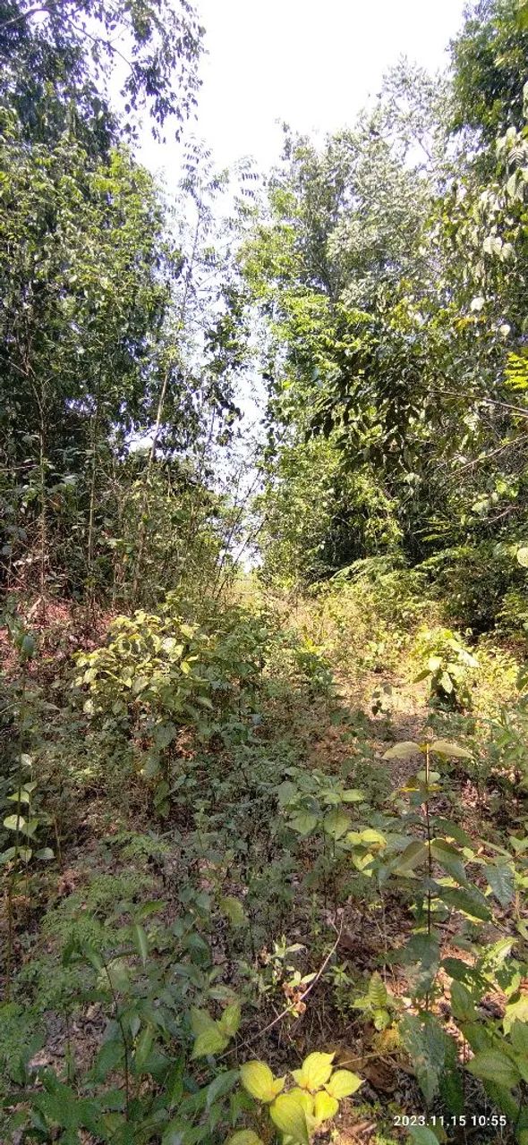 //Lote com 4000 M2 em Açutuba  - Foto 4