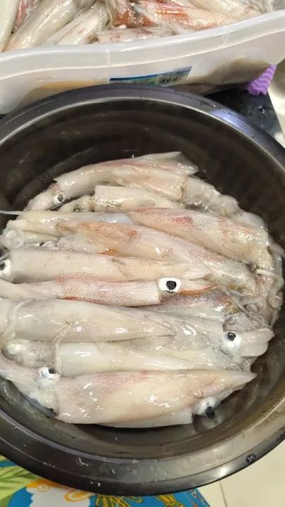 LULA FRESCA   (LEIA A DISCRIÇÃO)