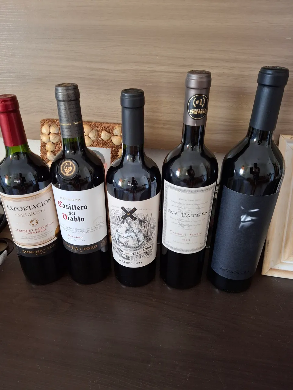 Vinhos tintos de alta qualidade - 5 garrafas