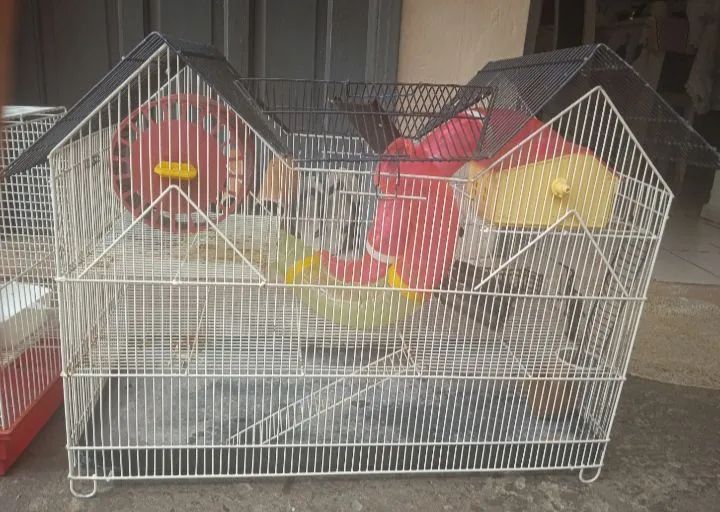 Gaiola para Roedores - Hamsters ou Camundongos - Foto 4