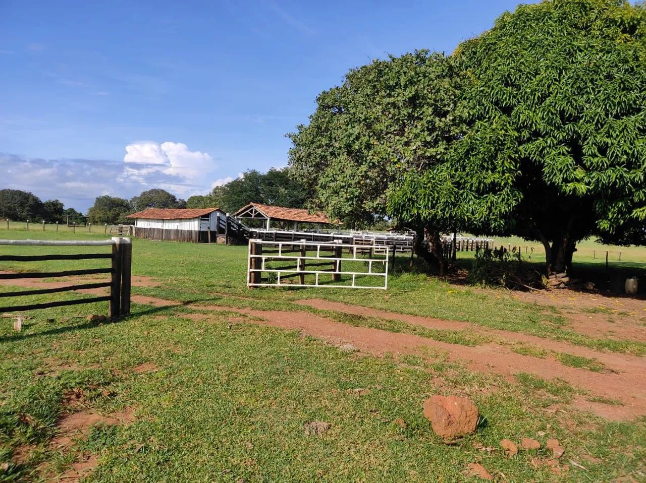 Fazenda 210 alqueires em Crixás no Tocantins 20 milhões.
