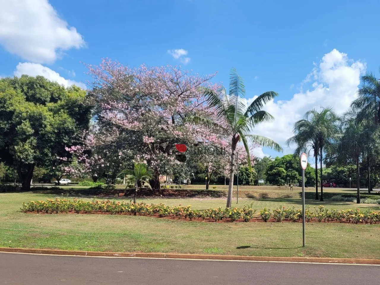 Terreno Alto Padrão no Condomínio Royal Park, 1014m² à venda, em Ribeirão Preto/SP - Imobi