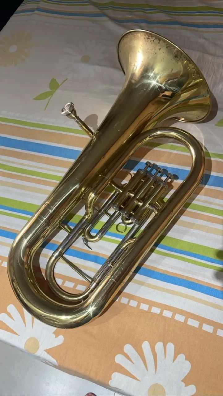 Bombardino Spalla - Foto 3