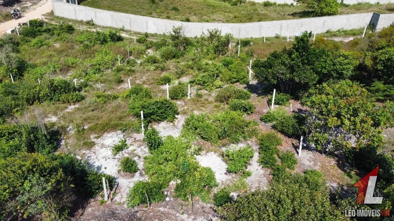 TERRENO À VENDA NA PRAIA DE PIPA- TIBAU DO SUL-RN - Foto 4
