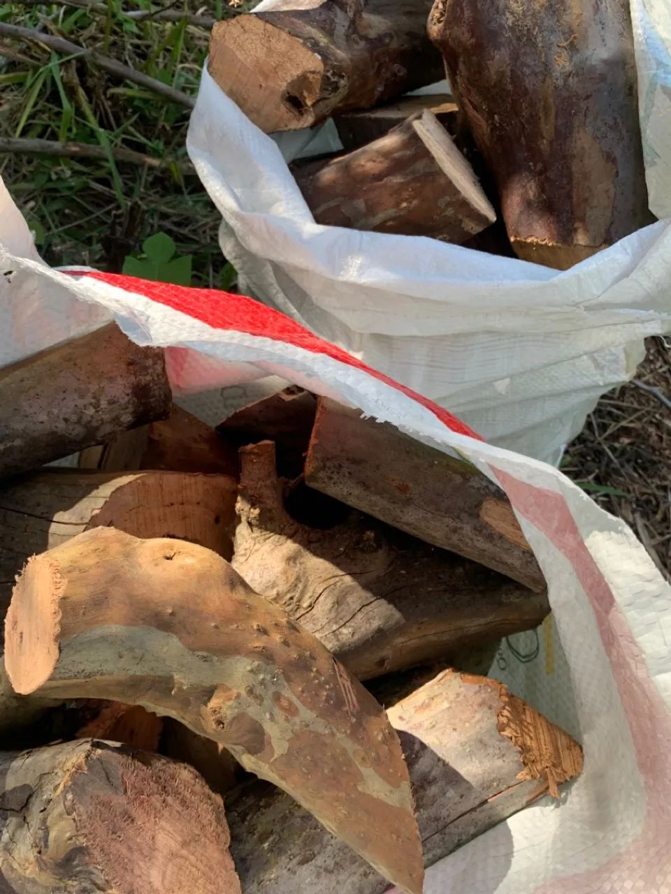 Lenha de goiabeira, frutífera  - Foto 5