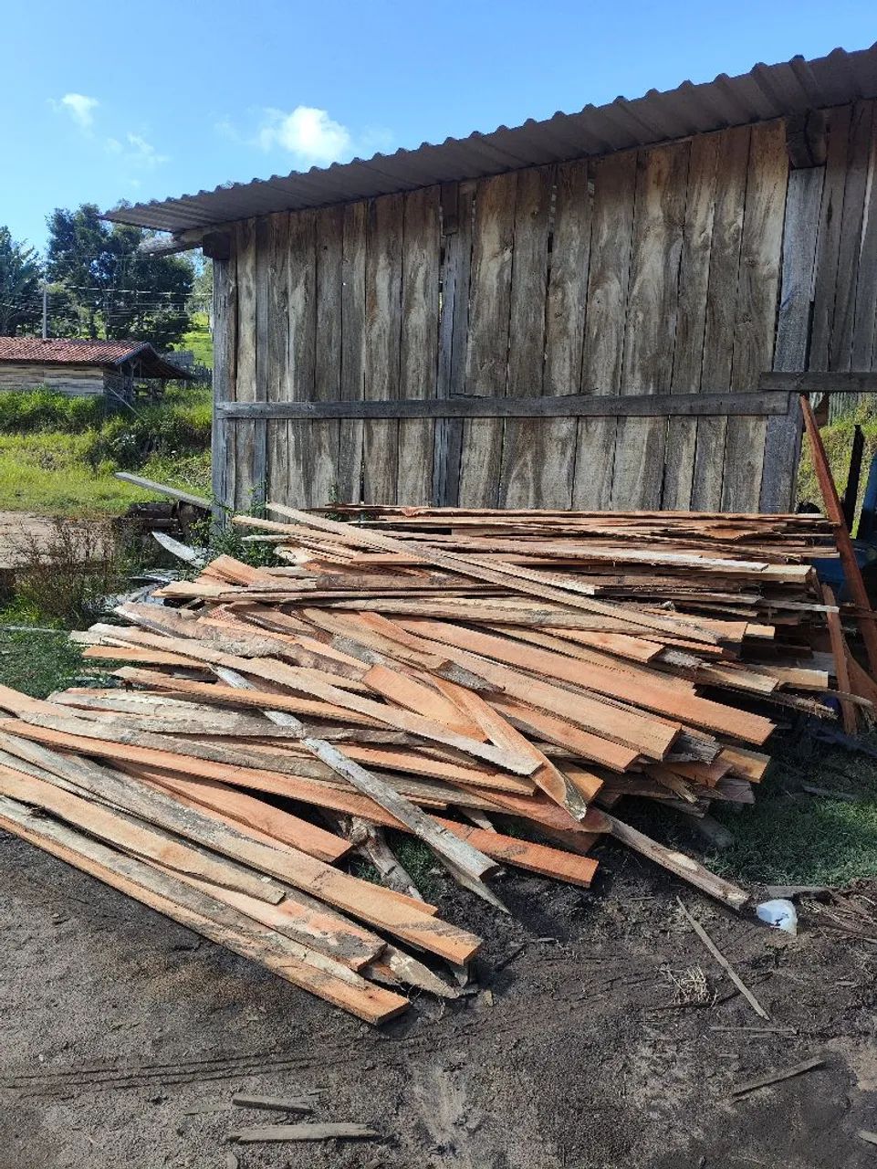 Costaneira de Eucalipto 64309220339458120