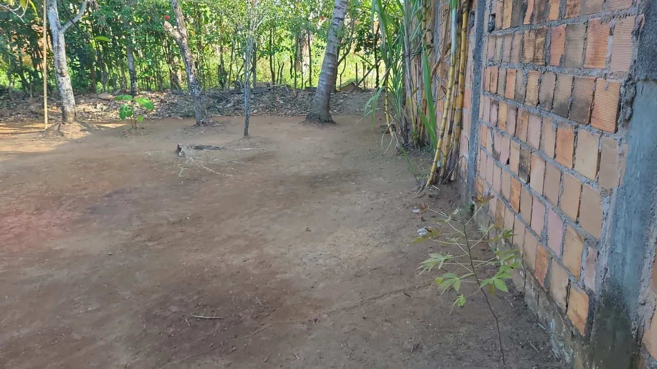 Desapego de dois super terrenos