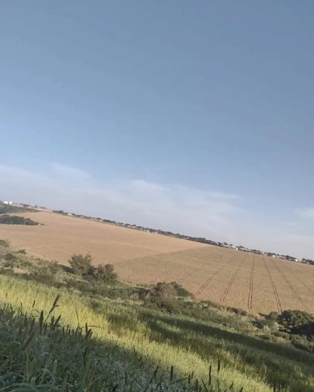 Chácara em Paiçandu  - Foto 4
