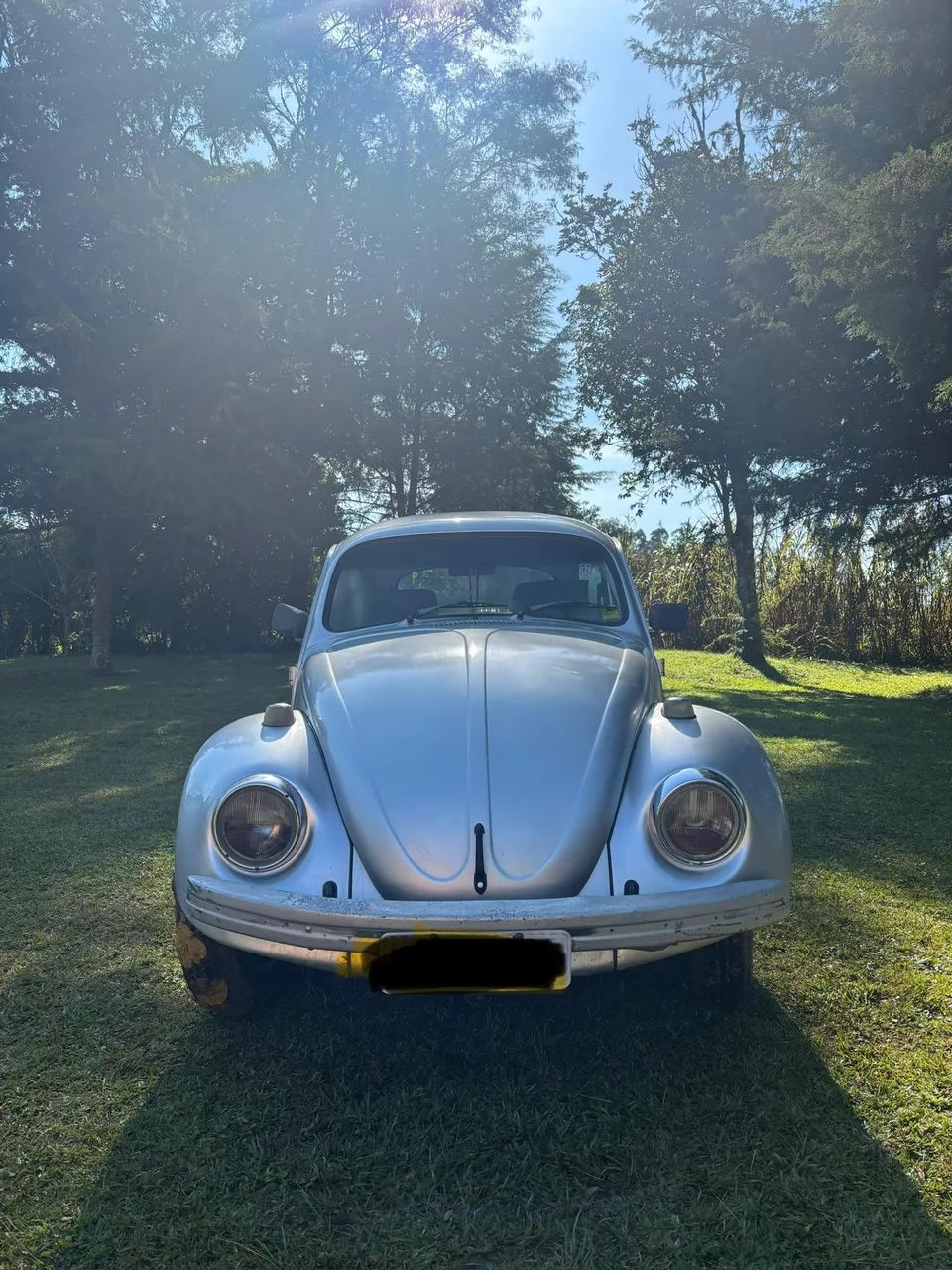 Volkswagen Fusca 1994