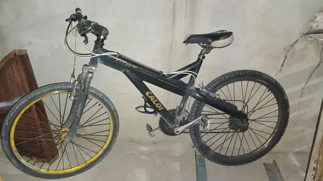 Bicicleta 