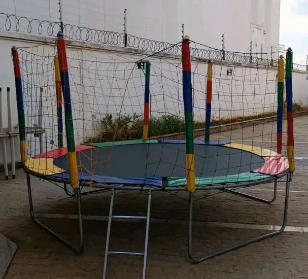 Alugo pula pula e pegue monte