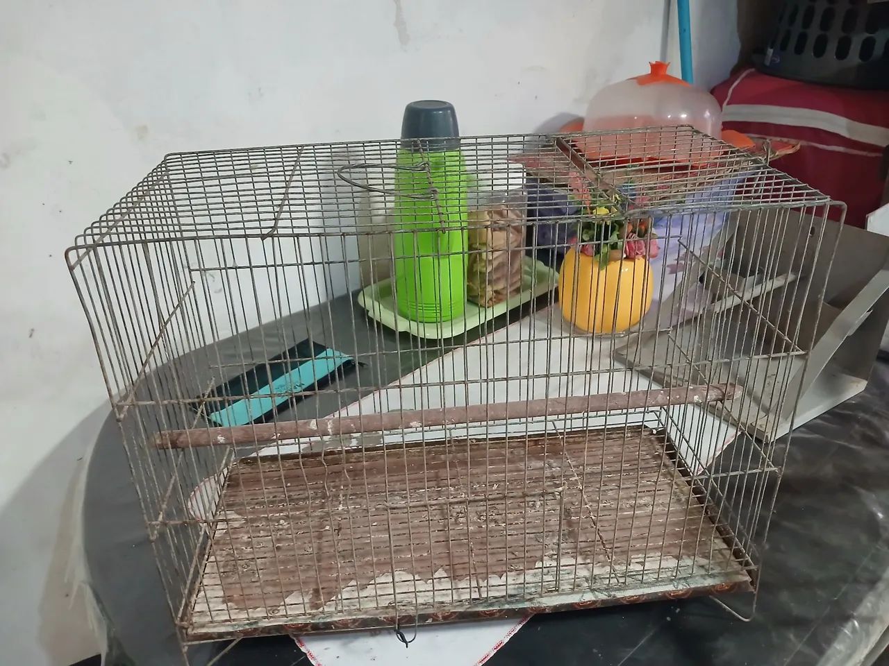 Vendo gaiola super conservada 