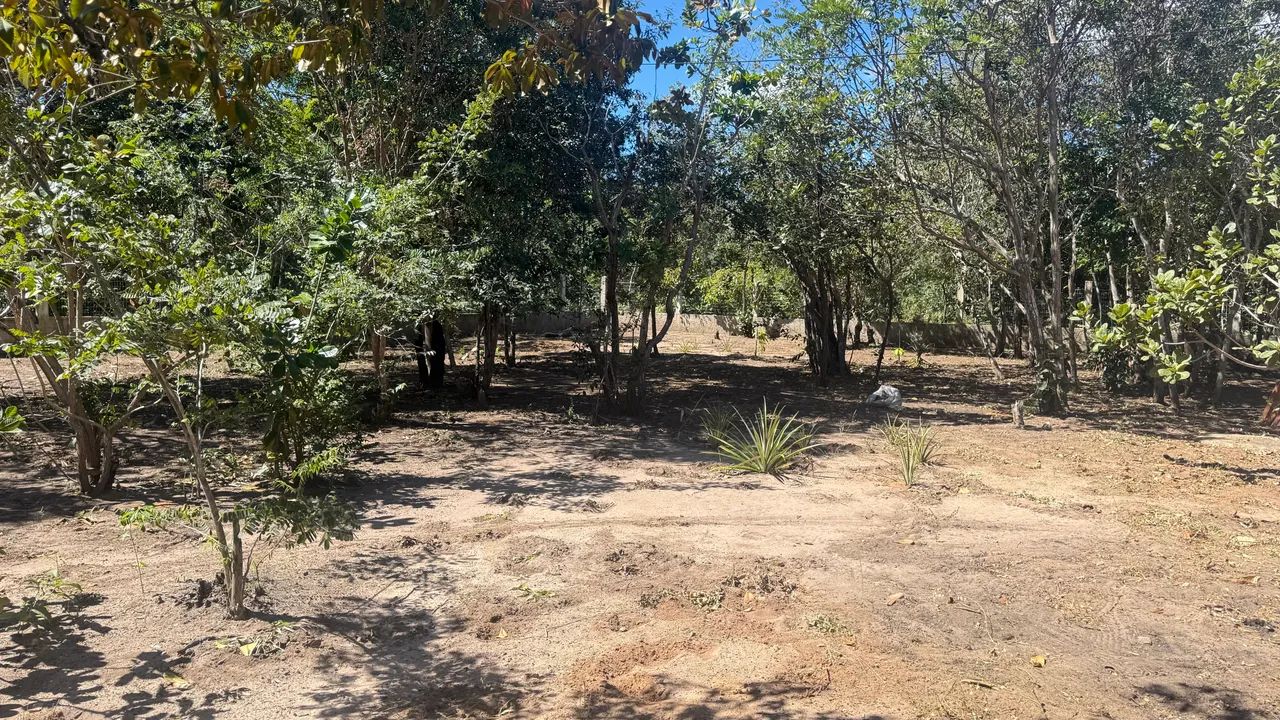 TERRENO COM CASA NA SERRA DO CRATO - Foto 5