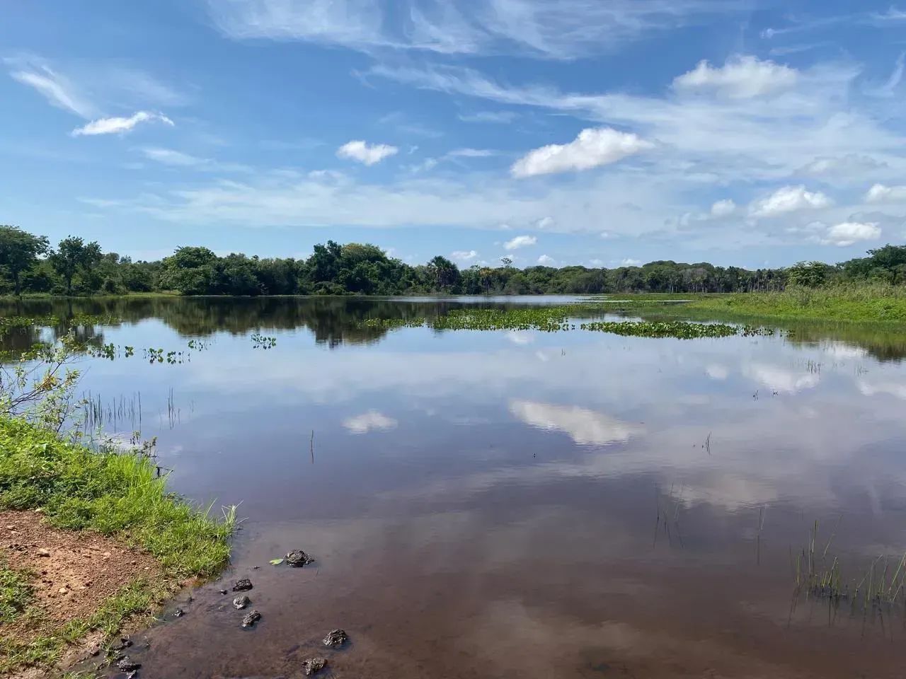 Fazenda a venda, em Talismã Tocantins!