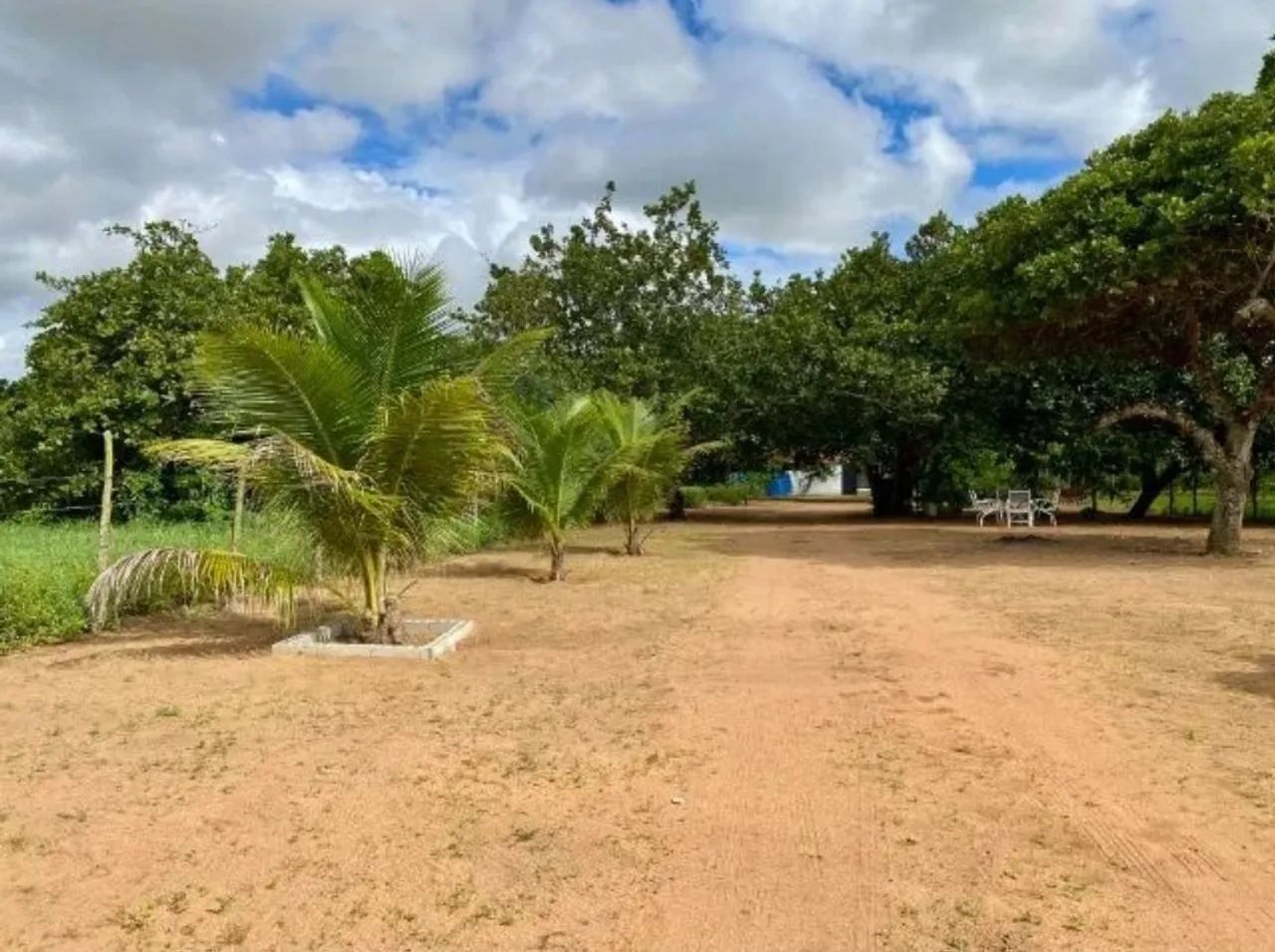 Vendo chácara  - Foto 5