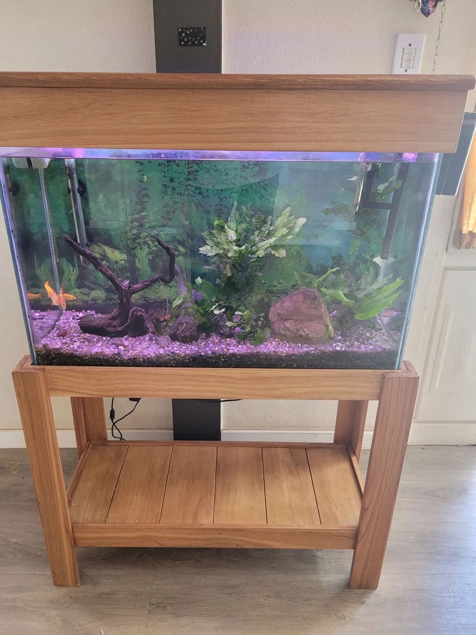 Aquário 100L completo