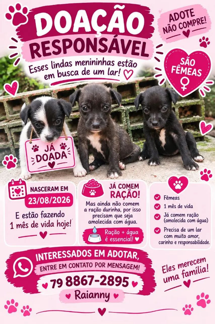 !!!DOAÇÃO!!! - Foto 2