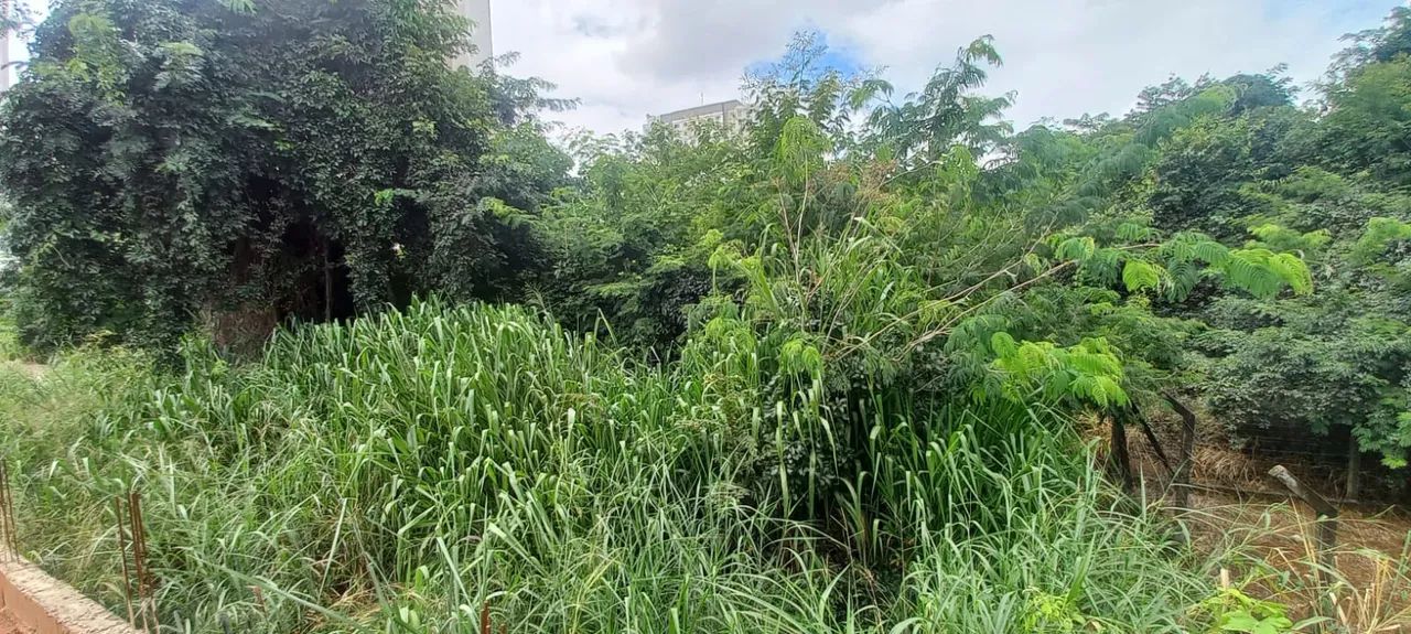 Lote - Setor Faiçalville - Foto 5