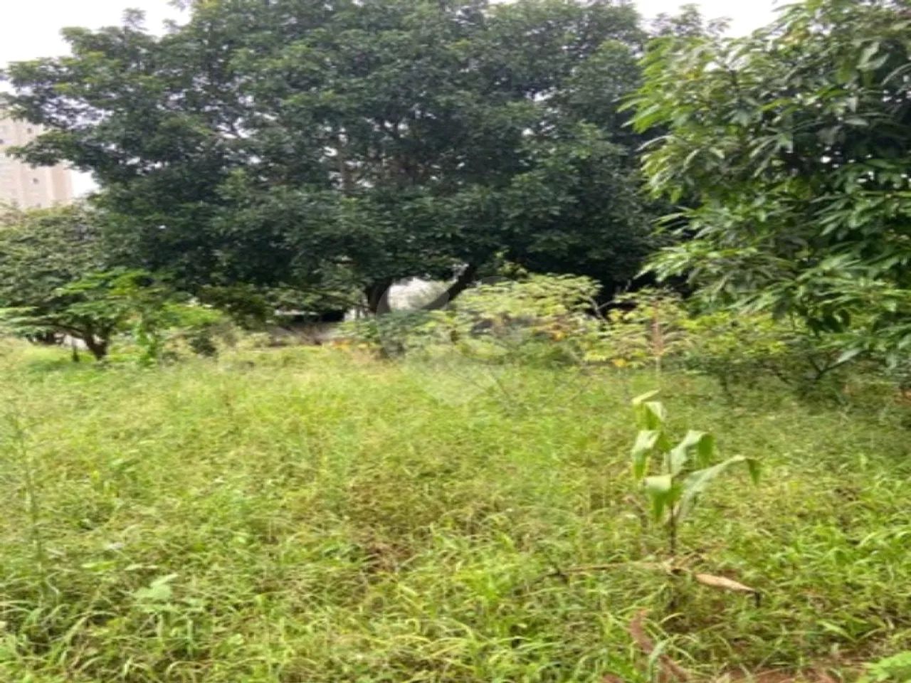 Terreno à venda em Vila nova curuçá - SP - Foto 4