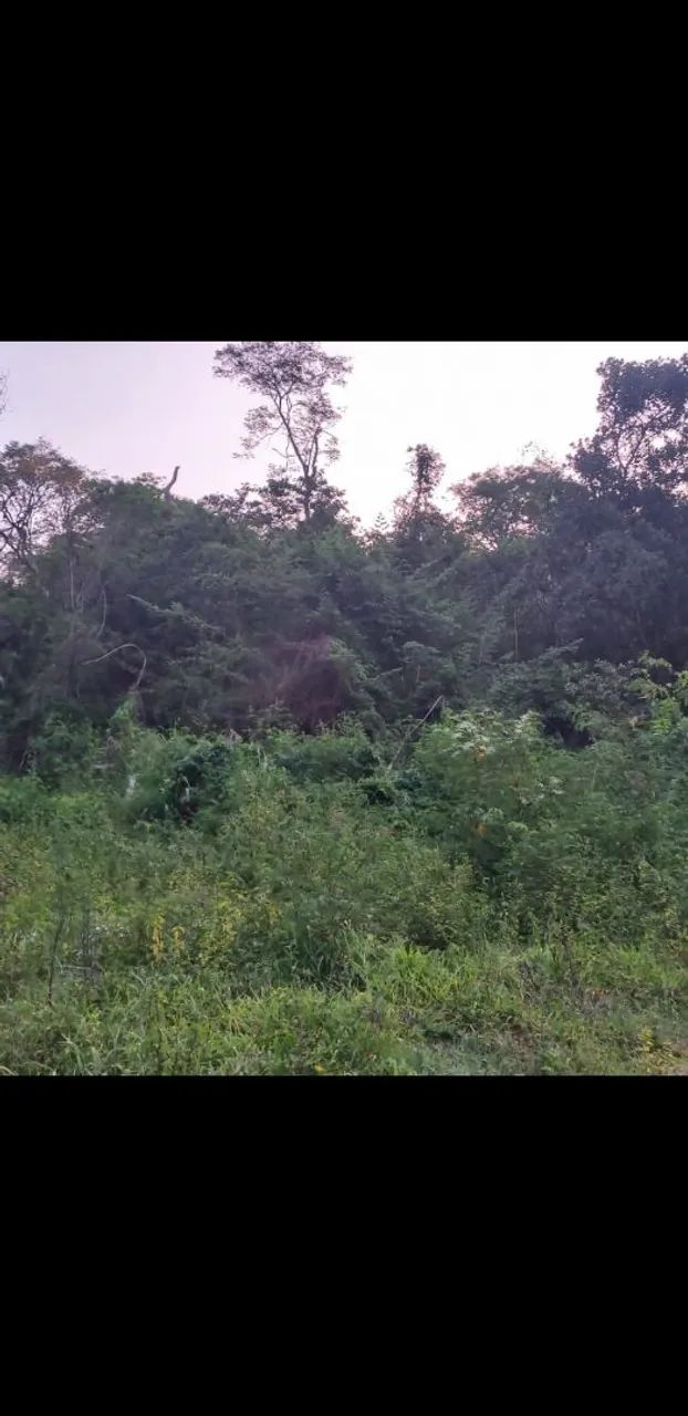 Foto - Niterói - Vila Progresso