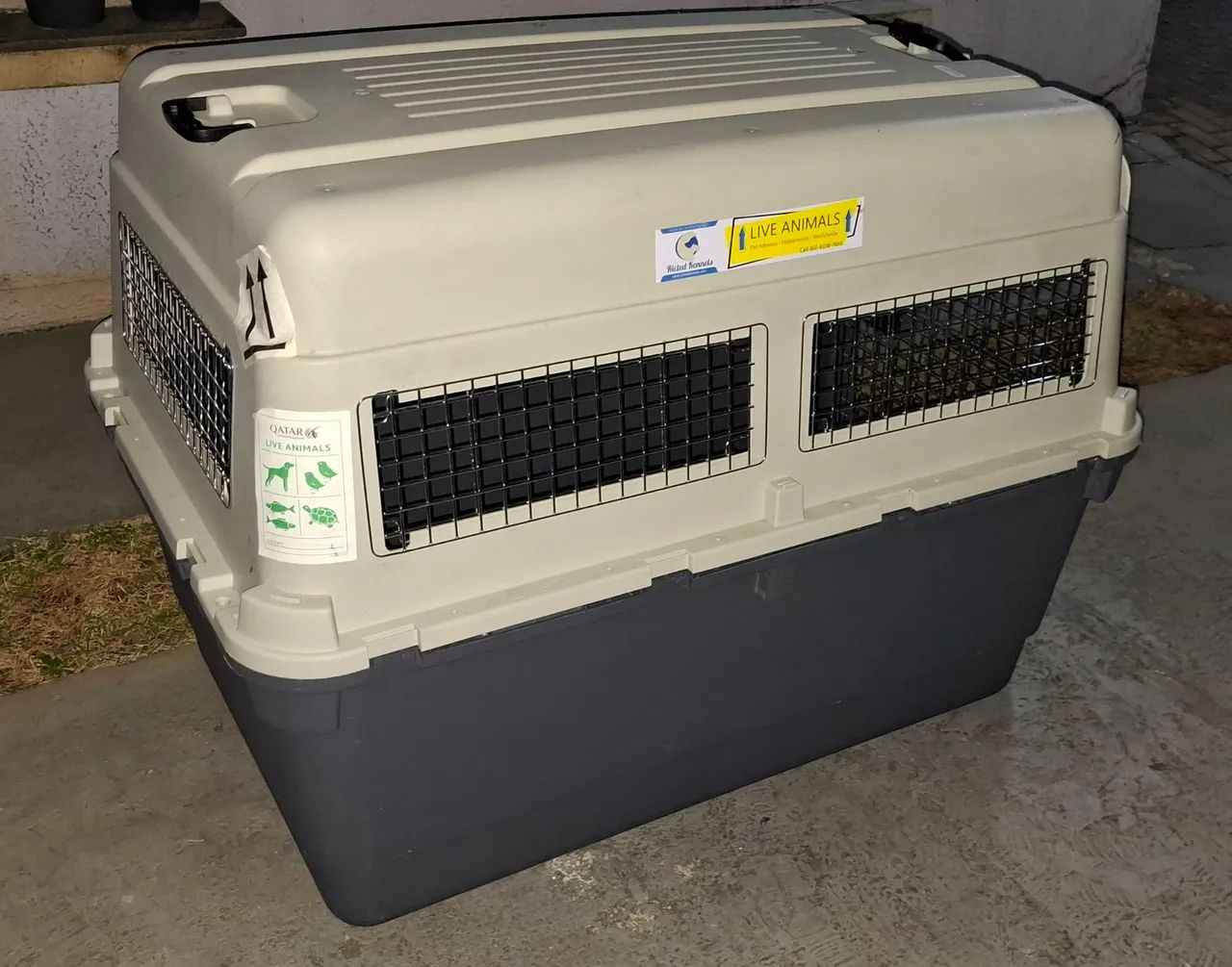 Caixa de transporte de animais - Foto 4