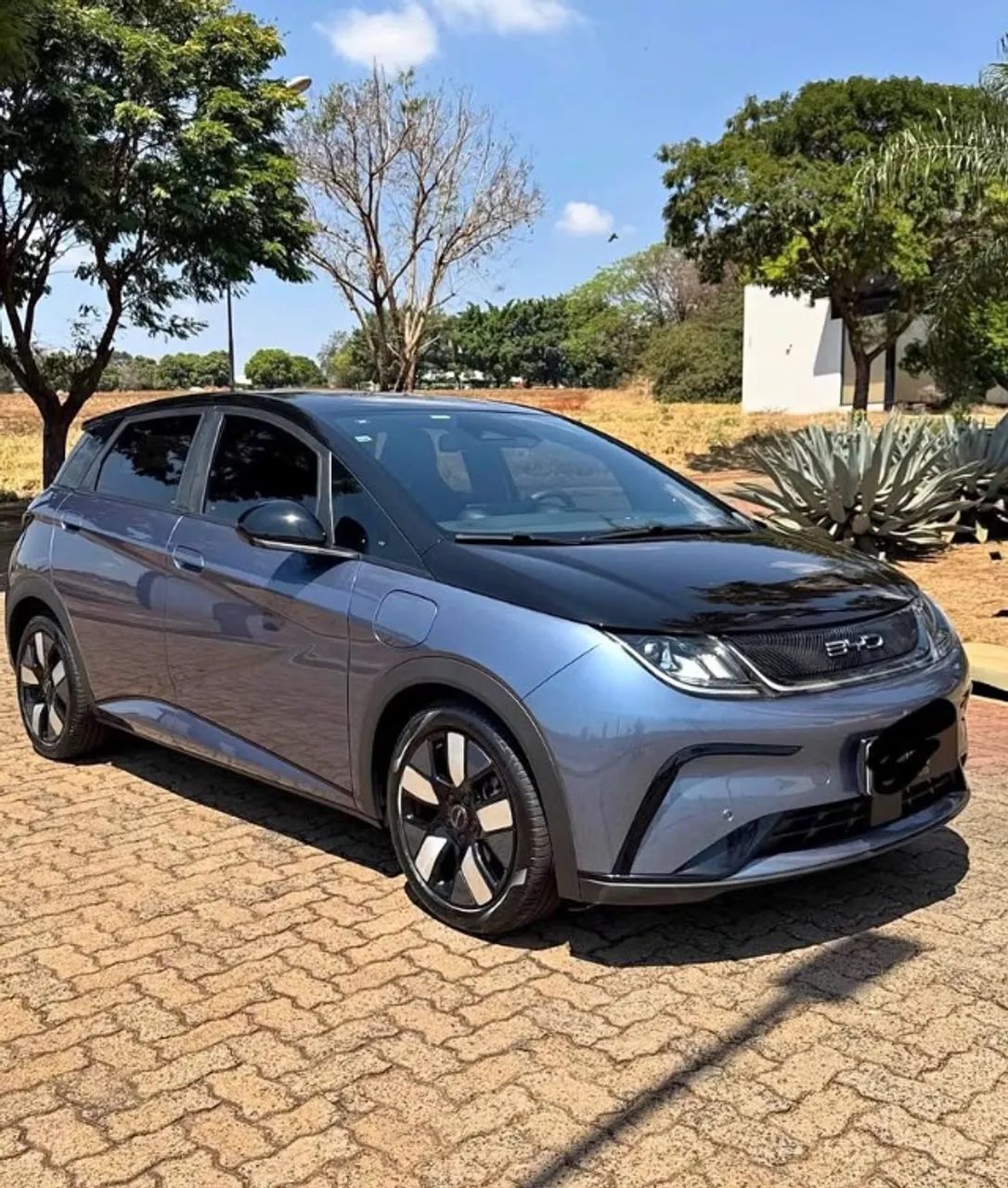 BYD Dolphin Plus (Elétrico) 2024 - Foto 2